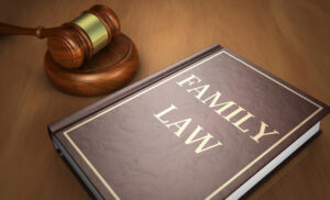 family law book2